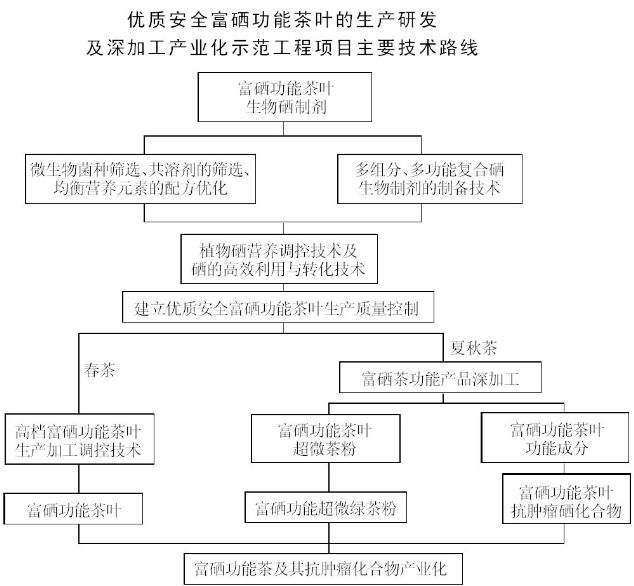 200801290115_56950.jpg